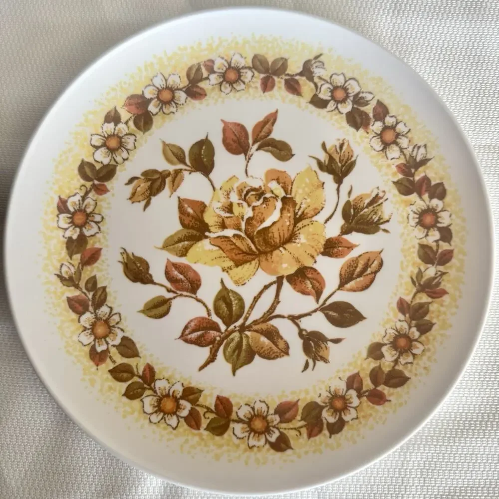 Vtg MCM Set of 5 Melamine Plastic 9